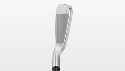 Address view of G730 iron