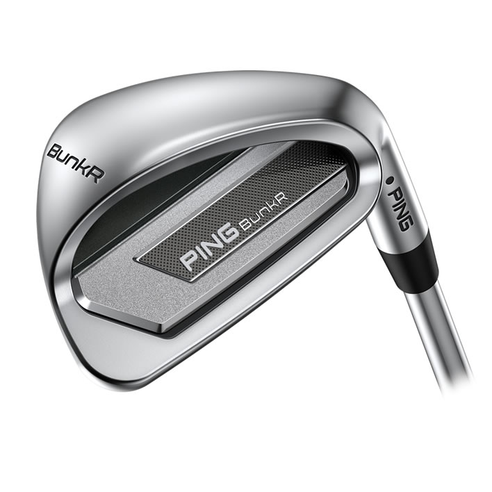 thumbnail of Cavity view of BunkR wedge