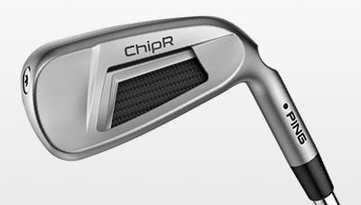 Cavity view of ChipR