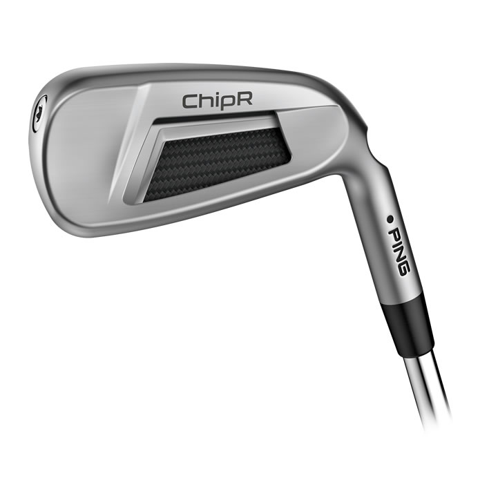 thumbnail of Cavity view of ChipR