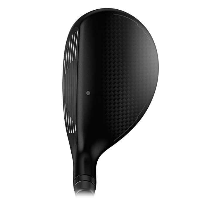 thumbnail of address view of G440 hybrid