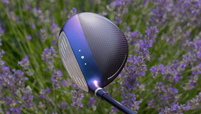 crown view of G Le4 fairway