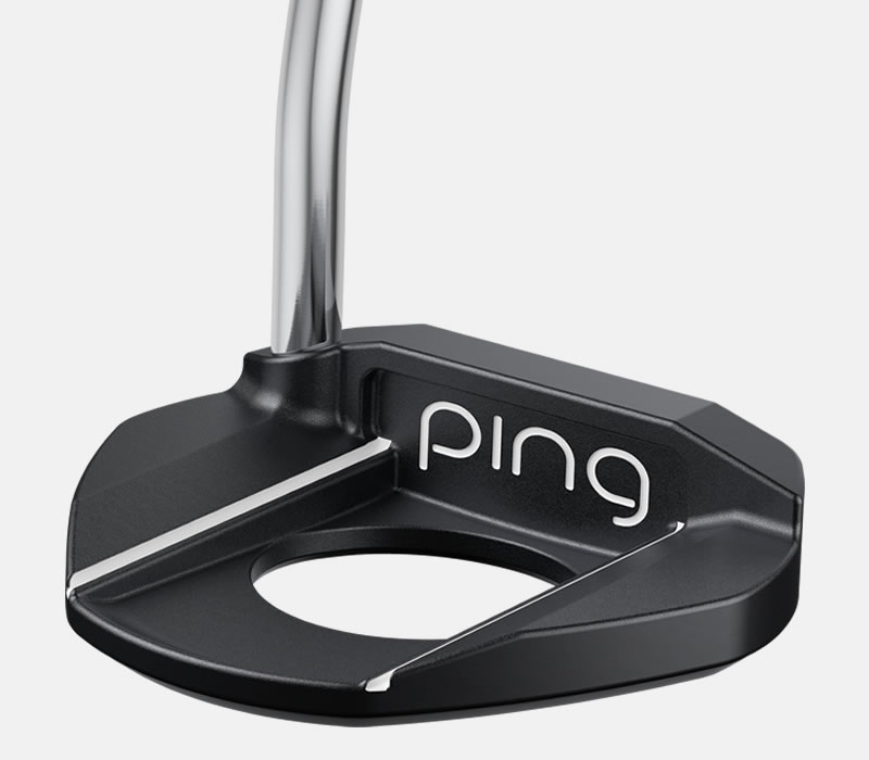 Cavity view of G Le3 Fetch putter
