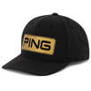 Gilded Black Snapback