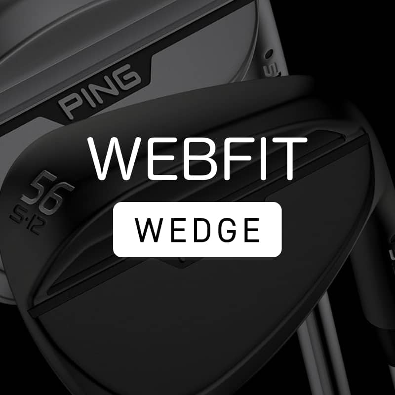 WebFit Wedge