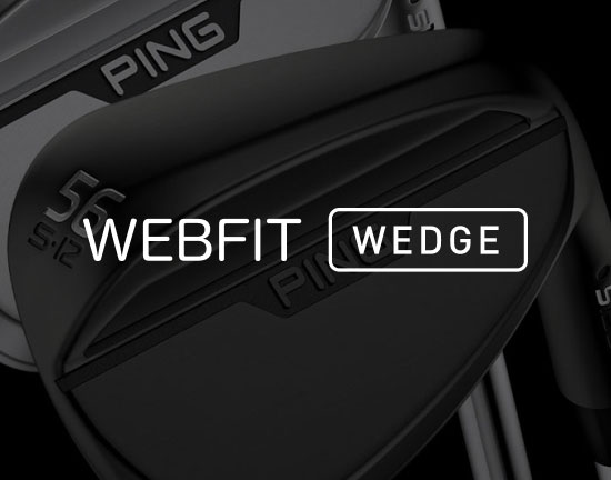 WebFit Wedge